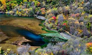 云上叙珠宝直播间卖的货是真的吗 云上的宝石大结局