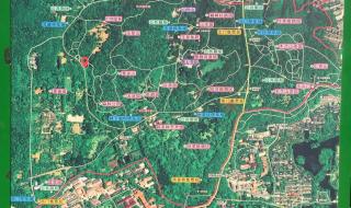 为什么地图上杭州市是五角星 杭州市三维电子地图